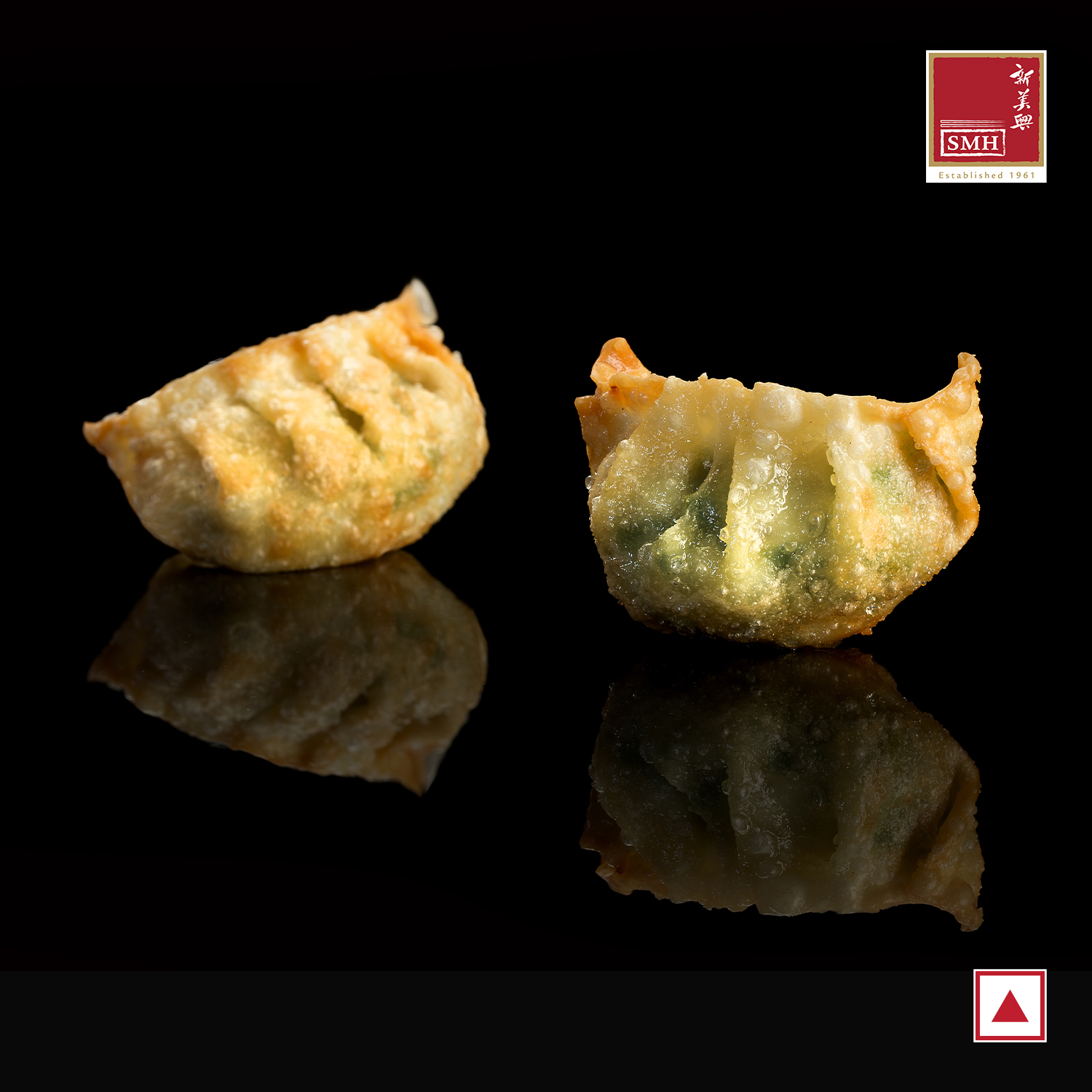 Shrimp Gyoza (25g x 100pcs)